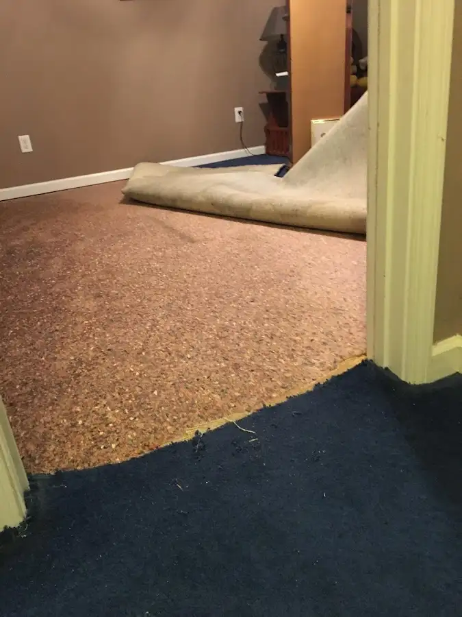 Carpet pad removal revealing water damage during Water Mitigation Services in Latimer