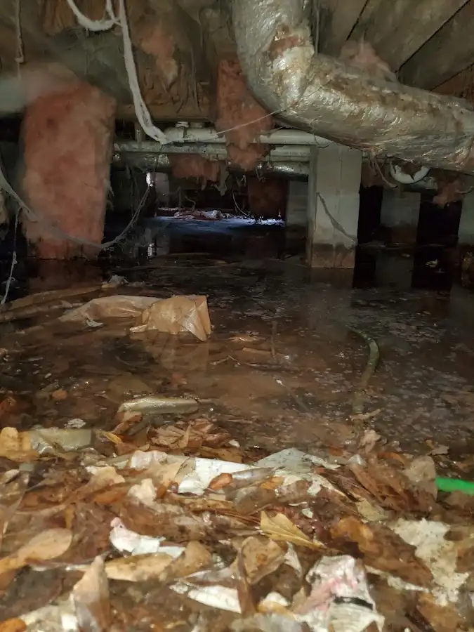 Crawl space flood assessment for Leak Detection & Repair in Latimer