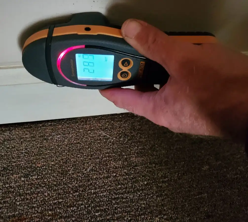 Moisture detection at baseboard during Mold Inspection & Testing in Latimer